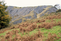 Blaencyffin Colliery tips, October 2010